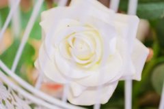 DSC00234